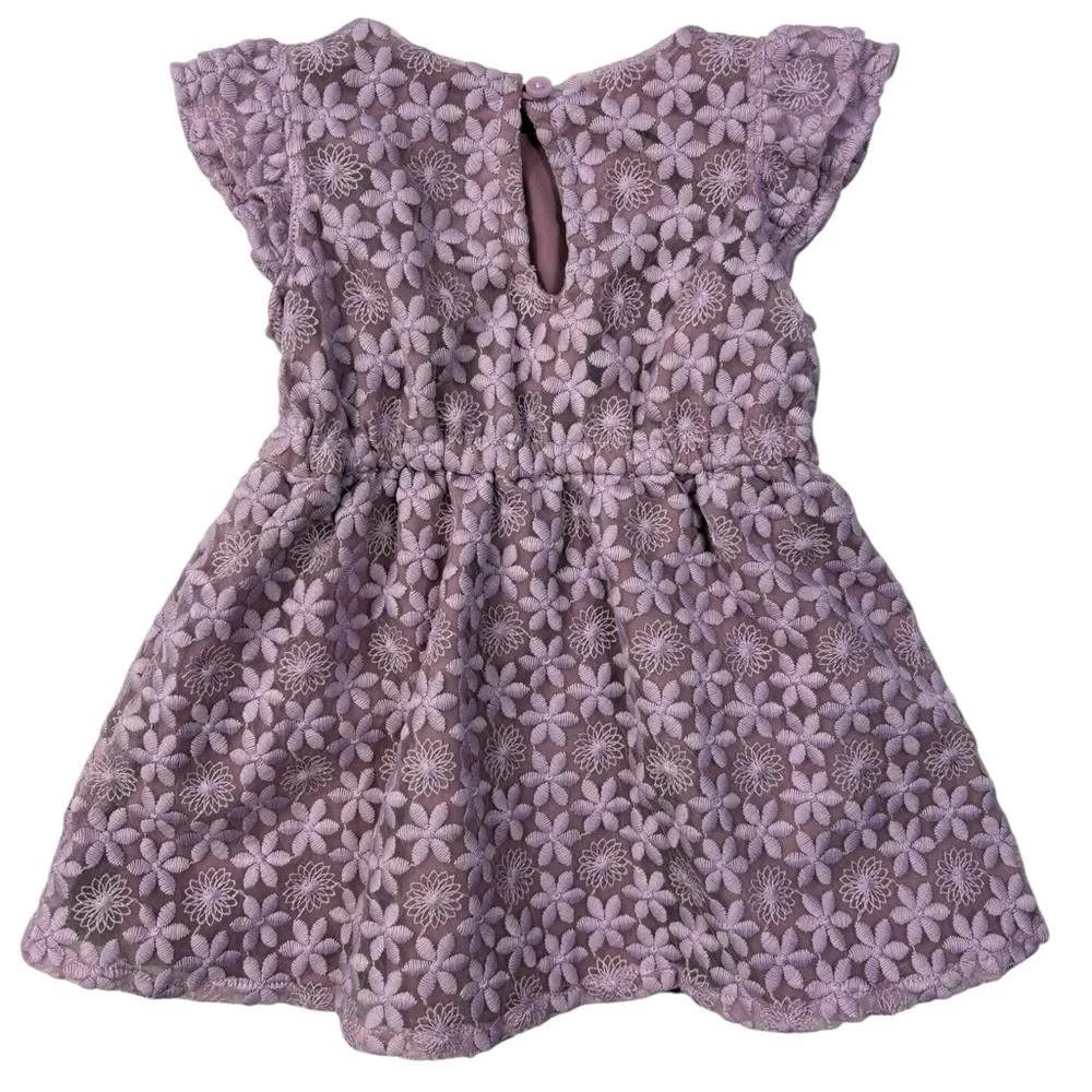 Gymboree Floral Lace Ruffle Cap Sleeve Baby Dress in Purple